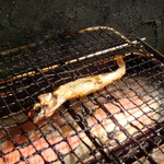 ピュア菜 - ししゃもも焼けます