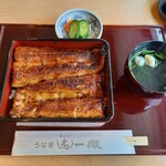 うなぎ 炙一徹 - うな重　松