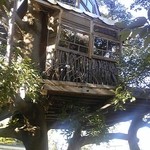 なんじゃもんじゃカフェ - ツリーハウスカフェ