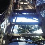 なんじゃもんじゃカフェ - この階段を登ります