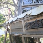 なんじゃもんじゃカフェ - ツリーハウス上部