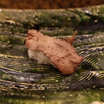 にぎり鮨 一五〇 - 牛タン