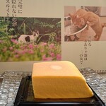 KINOKUNIYA - ❀〖京都仕立ての台湾風カステラケーキ〗（864えん）
                      （プレーン）