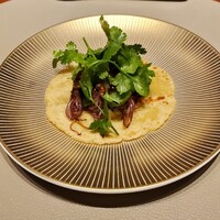 スガラボヴィー - 