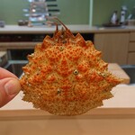 煮焚 しのみや - 棘栗蟹の甲羅