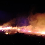 ドリンクドランク - (ノ∇≦*)スムージーを頂いたら、若草山の山焼きを見に行きましょう！2013年1月26(土)18：30～の一斉点火♬