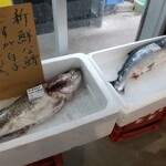 さかなのみうら - 鱈