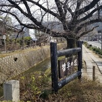 草喰 なかひがし - お店の目の前の「哲学の道」。