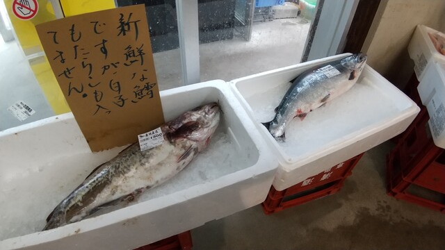 さかなのみうら - 志津川（その他）の写真