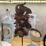 町田酒場 輝一 - 