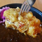 Yokoduna Karaage - からあげ常陸牛カレー