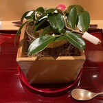 銀座 しのはら - 