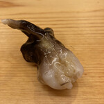 Kizaki - 鳥貝　大きい。とても新鮮。
