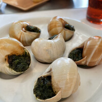 Benoit Alain Ducasse - 