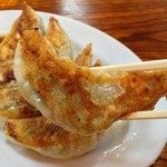 麺屋　手ごね竹 - 見よ！この美味しそうな餃子を！