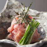 Nikutonihonshu Iburi - 