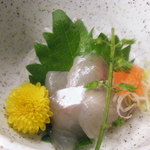 大はし - コチ刺身