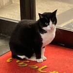 ゆたか食堂 - 影の店長ハチさん