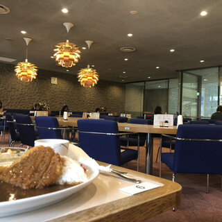 フェリカ 国会図書館内_2