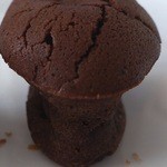 ダヴィッド パン - きのこ（きのこっぽく撮影）