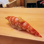 すし処 みや古分店 - 車海老にクチコ