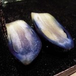 すし匠 - 2013/01/24　水なすの漬け物