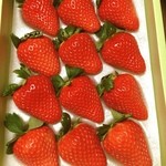 弘法屋 - おおきみ
                                （いちごの新品種）