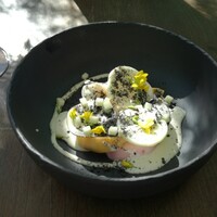 TRATTORIA CREATTA - 三種蕪、黒大根、コールラビの一皿　蕪とアンチョビの旨みと共に春を感じる根菜のヴァリエーション