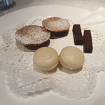 コート ドール - ミニヤルデイーズ 