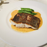 コート ドール - メイン