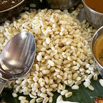 南インド料理 なんどり - 