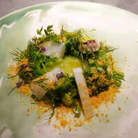 TOSAGE - 