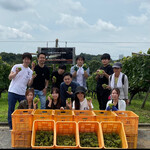 Kobe　Italian & Wine　CREDO - 収穫完了！