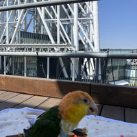 piccole lampare & rooftop Sky Bar - 