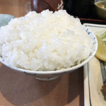 藤乃木 - 普通盛りのごはん。1合ちょっとある