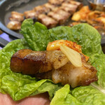 korean kitchen カブ韓 fushimi - 生サムギョプサル、香薫サムギョプサル