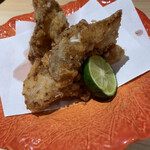 先斗町寿司よし乃 - 