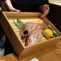 のどぐろ専門 銀座 中俣 - のどぐろ捌き前