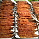鮒定 - ズラリ焼きたて