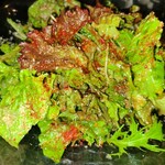 博多もつ鍋 徳永屋 - 