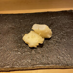 天ぷらあら木 - アオリイカ