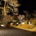 洋食 つばき - お庭