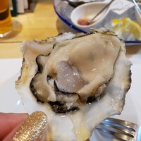 四ツ橋・新町 牡蠣と肉たらしビストロAKIRA - 
