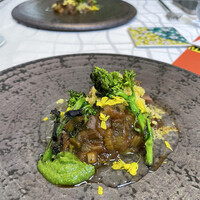 クイントカント - 