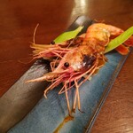 uoni - ボタン海老のグリル