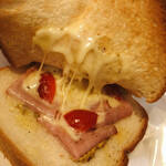 ドトールコーヒーショップ - 