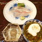 津の守坂 小柴 - お造り：ほうぼう薄造りトラ河豚の白子ポン酢