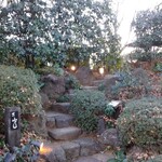 山ぼうし - 植え込み