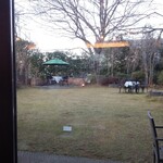 山ぼうし - 庭の景色