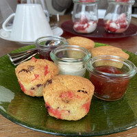 オールデイダイニング オアシスガーデン - 